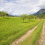 Wanderweg b. Gerold